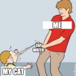 Baby Repellent | ME; TAP
WATER; MY CAT | image tagged in baby repellent,cat,funny memes,relatable | made w/ Imgflip meme maker