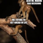 Monkey sucker punch | ALSO ME, MAKING BAD DECISIONS; ME TRYING TO GET AHEAD IN LIFE | image tagged in monkey sucker punch | made w/ Imgflip meme maker