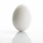 Egg