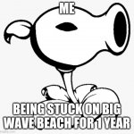 Big wave beach is hard | ME; BEING STUCK ON BIG WAVE BEACH FOR 1 YEAR | image tagged in deadplants exe | made w/ Imgflip meme maker