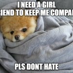 need girl friend | I NEED A GIRL FRIEND TO KEEP ME COMPANY; PLS DONT HATE | image tagged in bundled up doggo | made w/ Imgflip meme maker