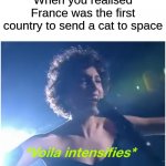 eurovision Voila intensifies | When you realised France was the first country to send a cat to space | image tagged in memes,eurovision,france,cats,space,fun fact | made w/ Imgflip meme maker
