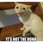 Coughing Cat | IT’S NOT THE RONA | image tagged in coughing cat | made w/ Imgflip meme maker