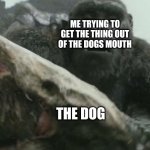 What the dog doin | ME TRYING TO GET THE THING OUT OF THE DOGS MOUTH; THE DOG | image tagged in skullcrawler bites kongs hand | made w/ Imgflip meme maker