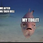 Why? | ME AFTER EATING TACO BELL; MY TOILET | image tagged in suddenly mortal fish,taco bell,toilet | made w/ Imgflip meme maker