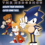 Sonic the Hedgehog the Movie meme