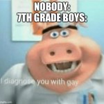 School | NOBODY:
7TH GRADE BOYS: | image tagged in i diagnose you with gay | made w/ Imgflip meme maker
