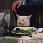 Disturbed Cat