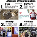 Four stages of manipulation