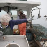 Lobster lady