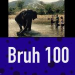 Bruh 100 | image tagged in bruh 100 | made w/ Imgflip meme maker
