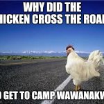 why did the chicken cross the road? | WHY DID THE CHICKEN CROSS THE ROAD? TO GET TO CAMP WAWANAKWA | image tagged in why did the chicken cross the road | made w/ Imgflip meme maker