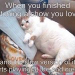 :( | When you finished watching a show you loved; and the slow version of it starts playing at the end credits | image tagged in crying cat | made w/ Imgflip meme maker