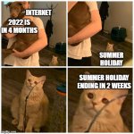 1!1!1!1!1!1!1! | INTERNET; 2022 IS IN 4 MONTHS; SUMMER HOLIDAY; SUMMER HOLIDAY ENDING IN 2 WEEKS | image tagged in sad cat dog hold | made w/ Imgflip meme maker