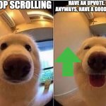 wholesome doggo | STOP SCROLLING; HAVE AN UPVOTE. ANYWAYS, HAVE A GOOD DAY! | image tagged in wholesome doggo,memes,upvote,uh e,stop reading the tags or i will slap you hooman | made w/ Imgflip meme maker