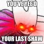 yee'd | YOU'VE YEE'D; YOUR LAST SHAW | image tagged in yee'd your last shaw,hollow knight,hornet | made w/ Imgflip meme maker