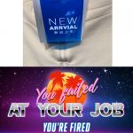 You failed at your job you're fired | image tagged in you failed at your job you're fired | made w/ Imgflip meme maker