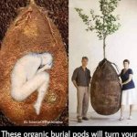 Organic burial pods meme