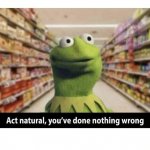 kermit store nothing wrong meme