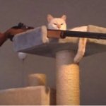 Sniper Cat (No Text)