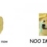 Buff cheems vs crying doge | NOO IM SORRY; inm stromng now | image tagged in buff cheems vs crying doge | made w/ Imgflip meme maker