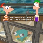 Ferb This Ones Looking At Us At The Same Time template