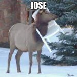 jose the stuck llama | JOSE | image tagged in jose | made w/ Imgflip meme maker