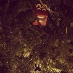 there is a damon in the tree!