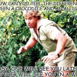 Daily Bad Dad Joke August 24 2021 | HOW CAN YOU TELL THE DIFFERENCE BETWEEN A CROCODILE AND AN ALLIGATOR; EASY, ONE WILL SEE YOU LATER, THE OTHER WILL SEE YOU IN A WHILE | image tagged in crocodile hunter steve irwin | made w/ Imgflip meme maker