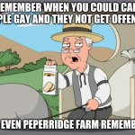 sad days | REMEMBER WHEN YOU COULD CALL PEOPLE GAY AND THEY NOT GET OFFENDED; NOT EVEN PEPERRIDGE FARM REMEMBERS | image tagged in pepridge farms,why are you gay | made w/ Imgflip meme maker