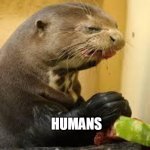 Disgusted Otter | HUMANS | image tagged in disgusted otter | made w/ Imgflip meme maker