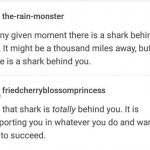 Shark is behind you