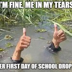 School drop off | I'M FINE, ME IN MY TEARS; AFTER FIRST DAY OF SCHOOL DROP OFF | image tagged in i'm fine | made w/ Imgflip meme maker