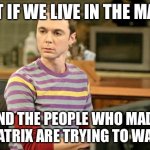 Sheldon Big Bang Theory  | WHAT IF WE LIVE IN THE MATRIX; AND THE PEOPLE WHO MADE THE MATRIX ARE TRYING TO WARN US | image tagged in sheldon big bang theory | made w/ Imgflip meme maker
