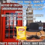 so you call these things chips? meme