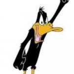 Daffy deserved an award | HE'S THE MOST ICONIC CARTOON DUCK OF ALL TIME; NEVER WON AN ACADEMY AWARD | image tagged in daffy duck,cartoons,looney tunes,warner bros | made w/ Imgflip meme maker