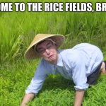 WELCOME TO THE RICE FIELDS | WELCOME TO THE RICE FIELDS, BROTHER | image tagged in welcome to the rice fields | made w/ Imgflip meme maker