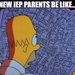 IEP parents | NEW IEP PARENTS BE LIKE... | image tagged in homer simpson complicated | made w/ Imgflip meme maker