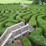 Hedge Maze