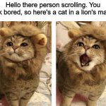 Very cute | Hello there person scrolling. You look bored, so here's a cat in a lion's mane: | image tagged in very cute,cats,aww,lion | made w/ Imgflip meme maker