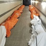 COVID-19 Bodies Body Bags Deaths Trump