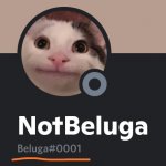 Beluga