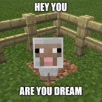 Minecraft sheep | HEY YOU; ARE YOU DREAM | image tagged in minecraft sheep | made w/ Imgflip meme maker