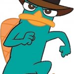 Perry The Platypus 2007-2015 meme