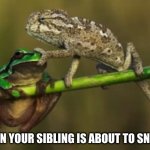 Shut up please | WHEN YOUR SIBLING IS ABOUT TO SNITCH | image tagged in shut it | made w/ Imgflip meme maker
