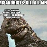 Godzilla | MISANDRISTS: KILL ALL MEN; ACTUAL FEMINISTS WHO JUST WANT EQUAL RIGHTS BUT GET OVERSHADOWED BY THE MISANDRISTS | image tagged in godzilla,feminism,sad | made w/ Imgflip meme maker