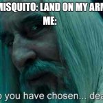 So you have chosen death | ME:; MISQUITO: LAND ON MY ARM | image tagged in so you have chosen death | made w/ Imgflip meme maker