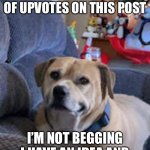 Downvote this post | LET’S TRY TO GET AS THE LEAST AMOUNT OF UPVOTES ON THIS POST; I’M NOT BEGGING I HAVE AN IDEA AND I WANNA SEE IF IT WORKS | image tagged in buster 2 0 | made w/ Imgflip meme maker