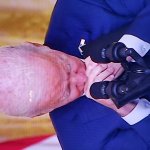 Dumb Joe