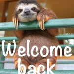Sloth welcome back meme